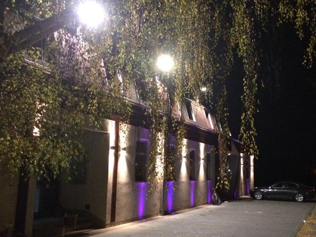 Prenociste Gazela Bed & Breakfast Пирот Екстериор снимка