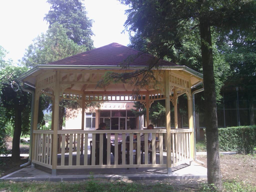 Prenociste Gazela Bed & Breakfast Пирот Екстериор снимка