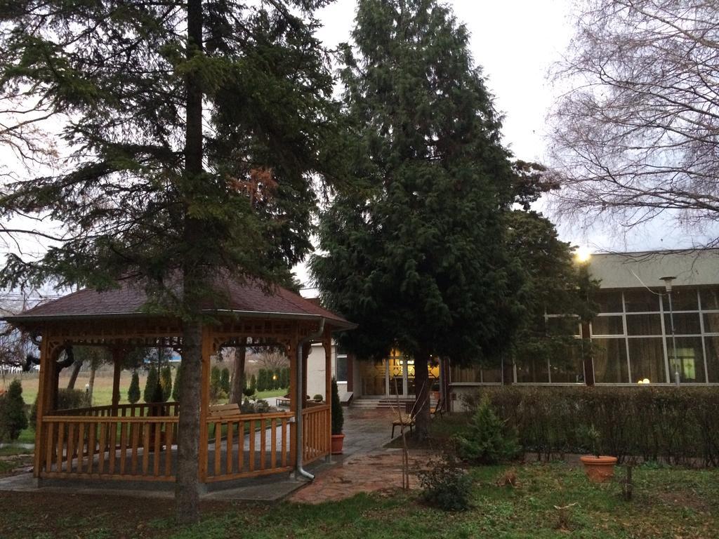 Prenociste Gazela Bed & Breakfast Пирот Екстериор снимка